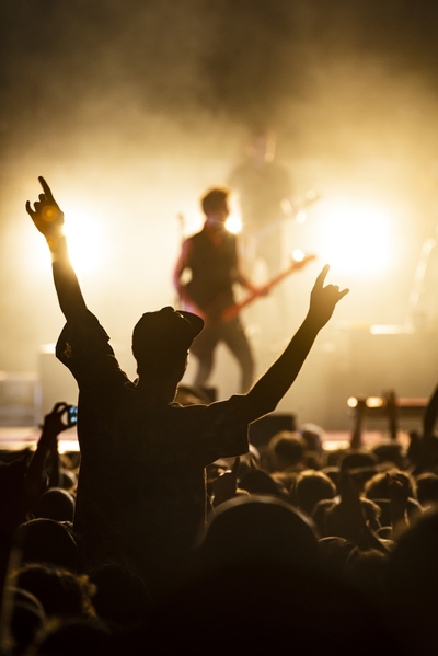 Fans enjoying a concert